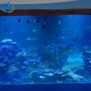 Acrylic Freshwater Aquarium Fish Tank