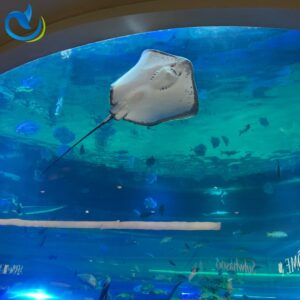 Natural Decorative Acrylic Aquarium