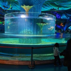 Pure Transparent Acrylic Aquariums