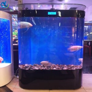 Clear Customizations Acrylic Aquariums