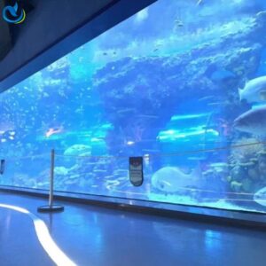 Premium Acrylic PMMA Fish Tank